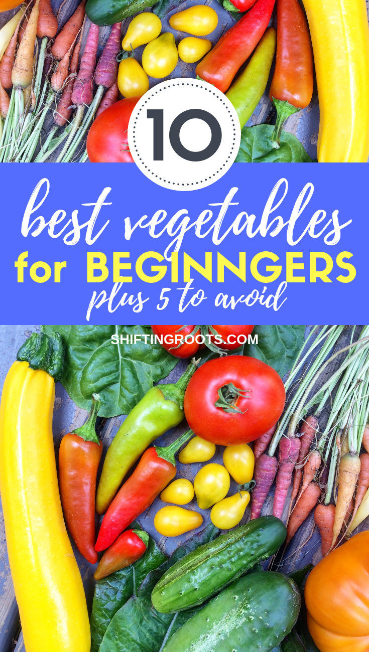 10 Easy to Grow Vegetables for Your First Garden, Plus 5 You'll Want to Avoid -   18 easy planting ideas