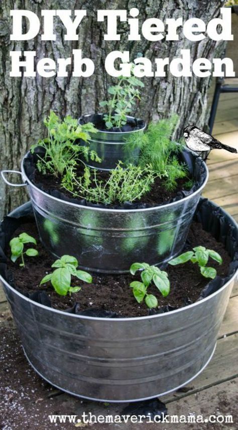 The 11 Best Herb Garden Ideas -   18 easy planting ideas