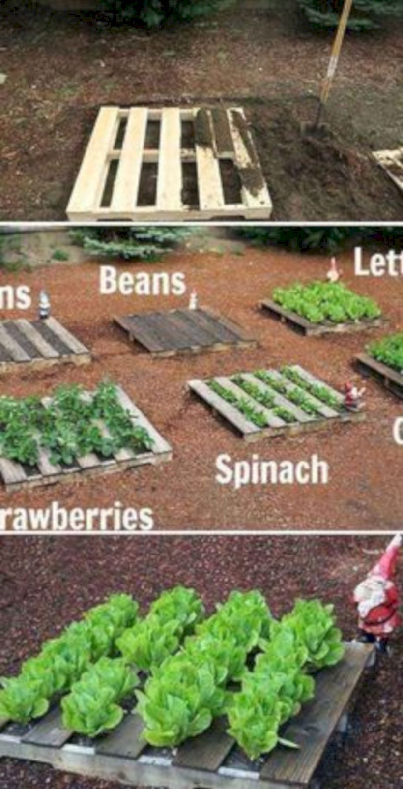50+ Easy and Affordable DIY Backyard Ideas and Projects -   18 easy planting ideas