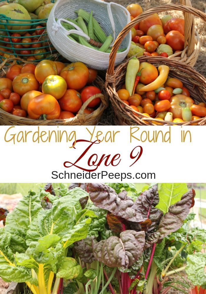 Zone 9 Gardening plus get planting tips by zone for zones 3-8 -   18 plants House garden ideas