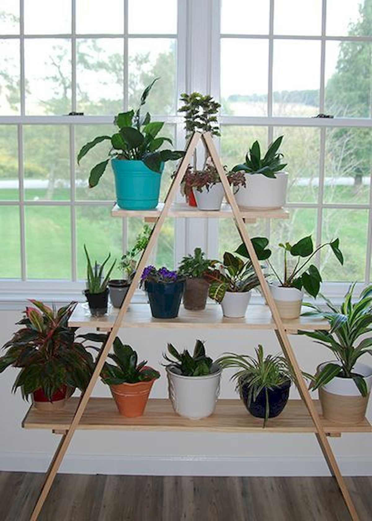 Beautiful Stand Plants For Your Home -   18 plants Stand beautiful ideas