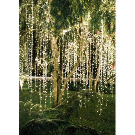 Party & Occasions -   18 wedding Backyard lights ideas