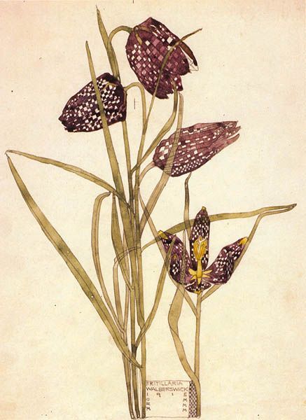 Charles Rennie Mackintosh (1868-1928гг). Цветы. -   2 plants Sketch charles rennie mackintosh ideas