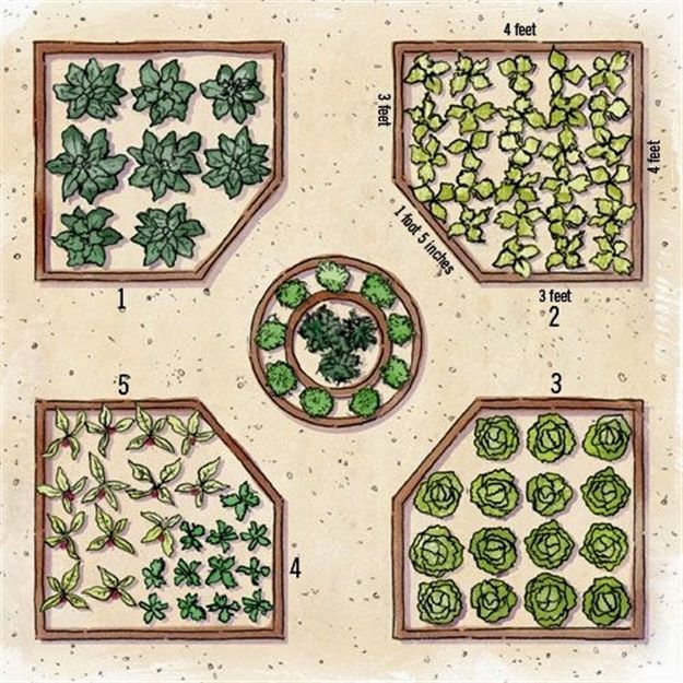 5 garden design Layout circle ideas