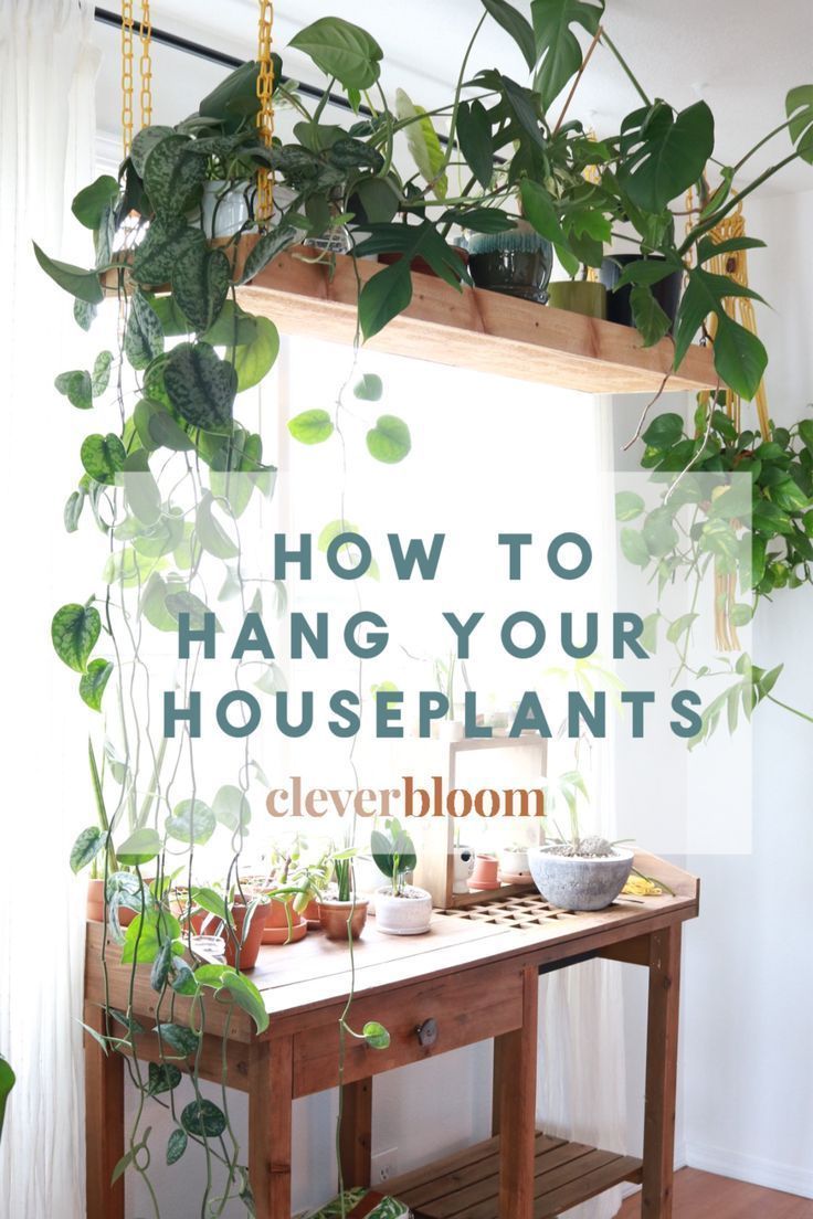 Clever Ways To Hang Your Plants -   8 plants In Bedroom natural ideas