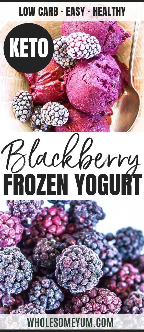 Blackberry Sugar-Free Keto Frozen Yogurt Recipe -   10 diet Dukan greek yogurt ideas