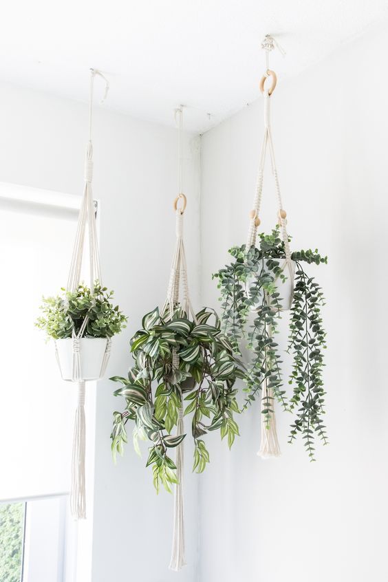 37 Indoor Hanging Plants Ideas To Decorate Your Home -   10 green plants In Bedroom ideas