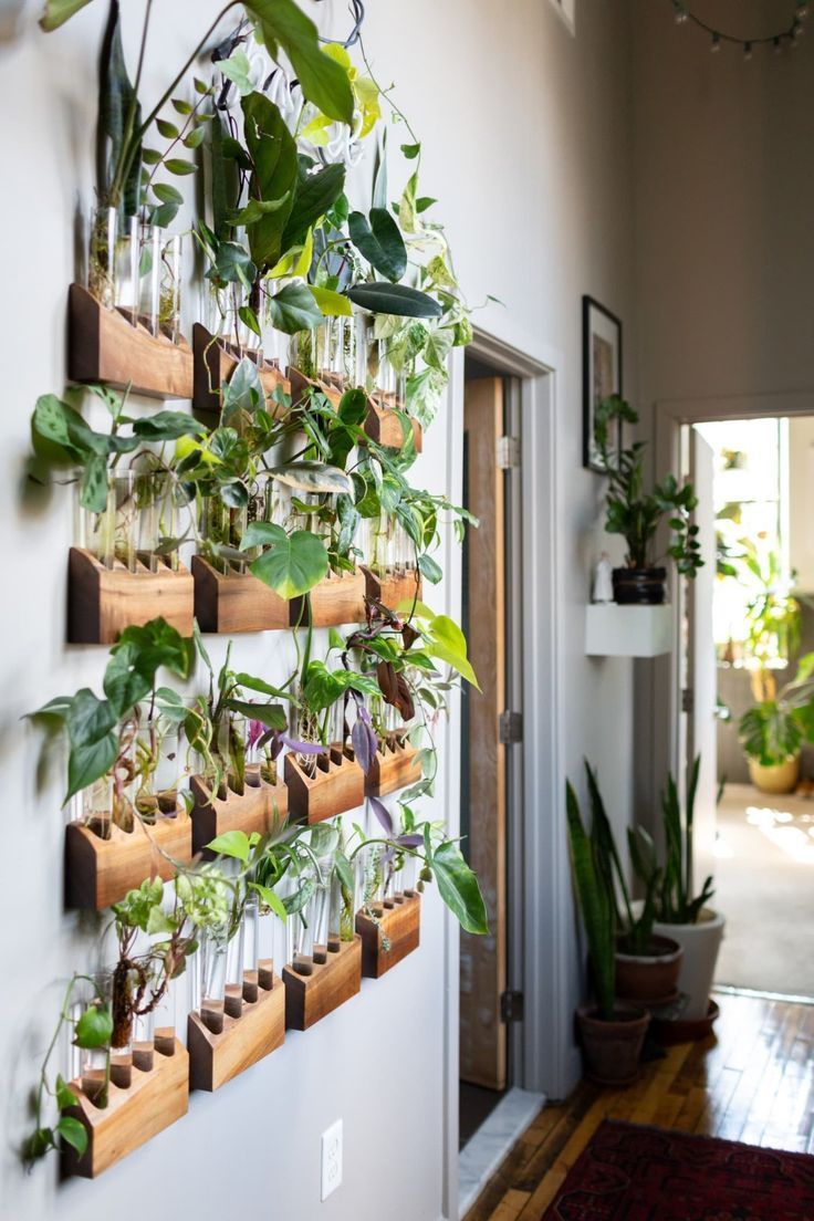 The Plant Doctor's Baltimore Home and Studio Are Absolutely Filled With Gorgeous Green Plants -   10 green plants In Bedroom ideas