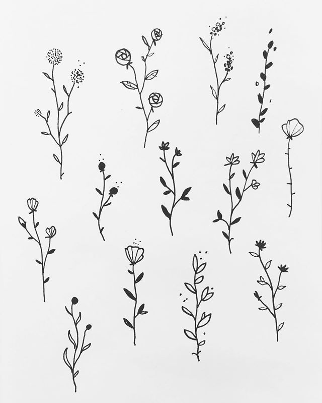Handlettering – Blumen -   10 plants Drawing simple ideas