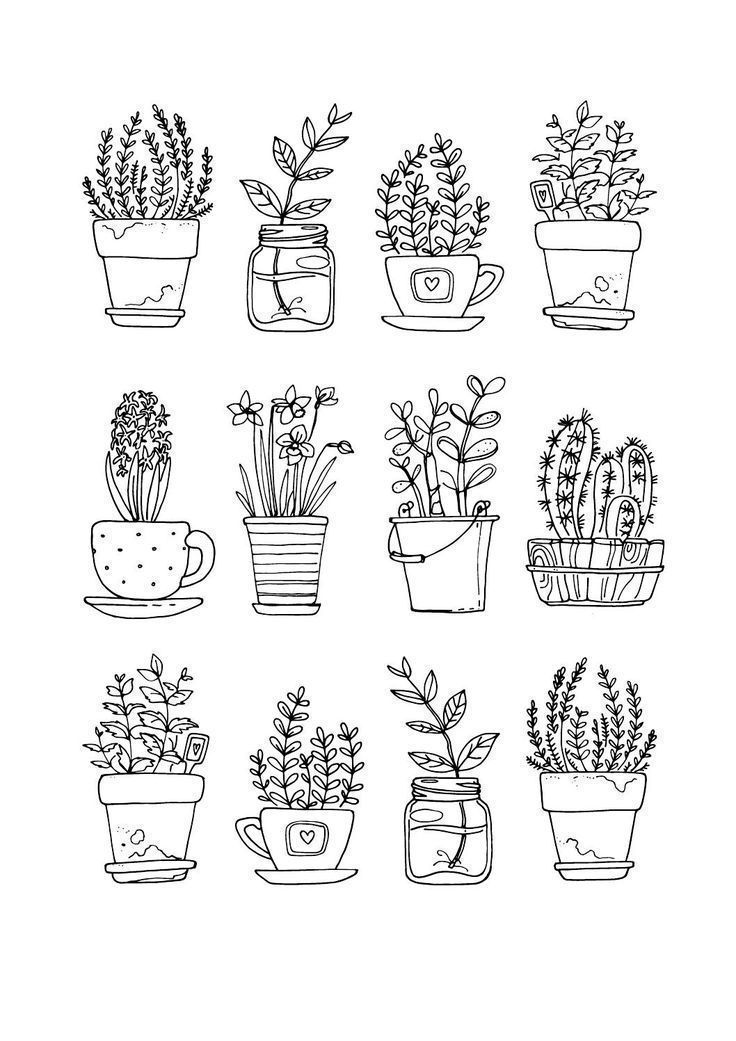 10 plants Drawing simple ideas