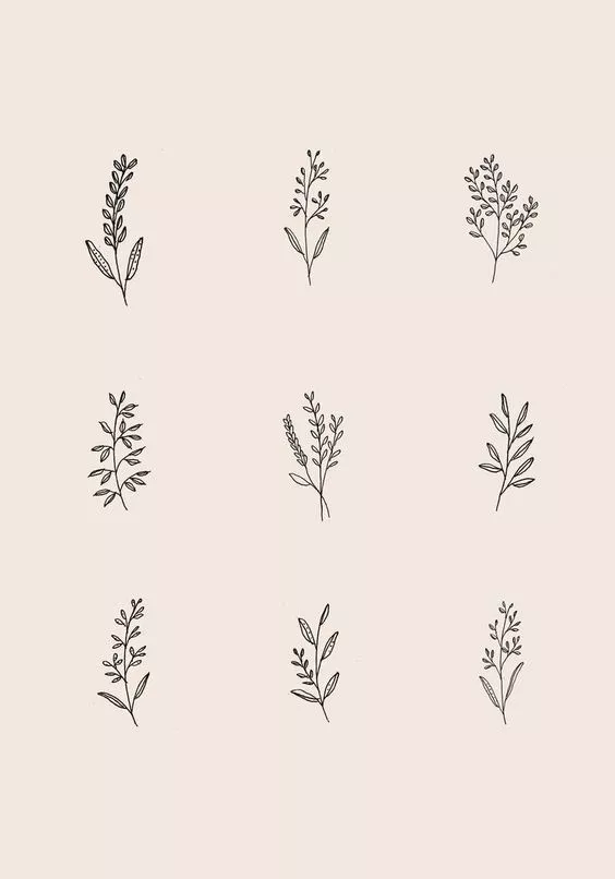 30 Ways to Draw Plants & Leaves -   10 plants Drawing simple ideas