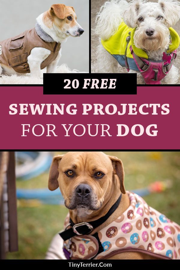 20 Free Sewing Projects for Dogs -   12 DIY Clothes Patterns free printable ideas