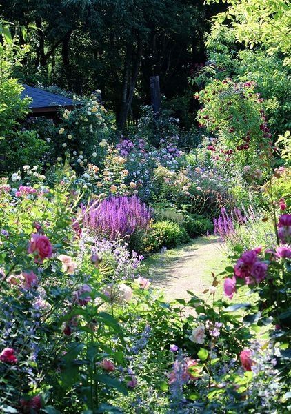 35 Adorable Summer Design for Upgrade Garden -   12 garden design English flower ideas