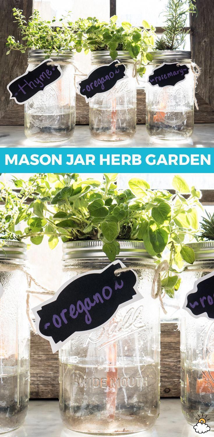 Fill An Applesauce Cup With Dirt And Put It In A Mason Jar For A Cute Herb Garden -   12 garden design Indoor mason jars ideas