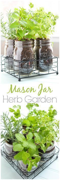 DIY Herb Garden In Mason Jars - Crafts Unleashed -   12 garden design Indoor mason jars ideas