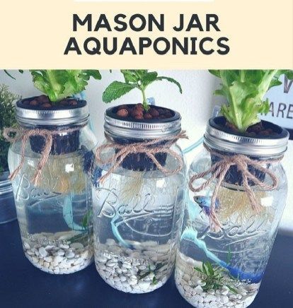 Easy but Pretty Mason Jar Planter Ideas 21 -   12 garden design Indoor mason jars ideas