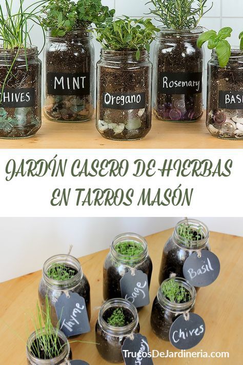 Jard?n Casero De Hierbas En Tarros Mas?n -   12 garden design Indoor mason jars ideas