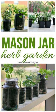 12 garden design Indoor mason jars ideas