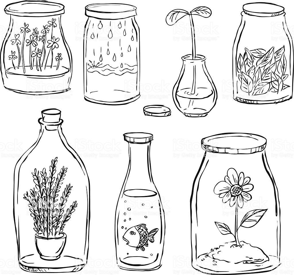 Plant inside bottle in black and white -   12 plants Drawing tumblr ideas
