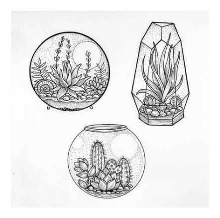 Succulent art framed 61 Ideas -   12 plants Drawing tumblr ideas