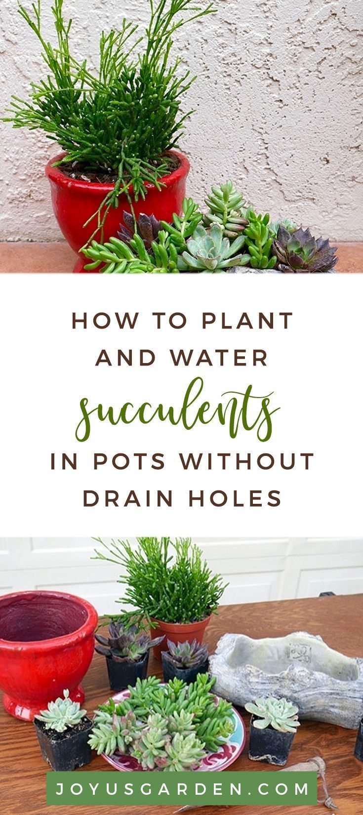 How to Plant & Water Succulents In Pots Without Drain Holes -   13 planting Decor succulents ideas