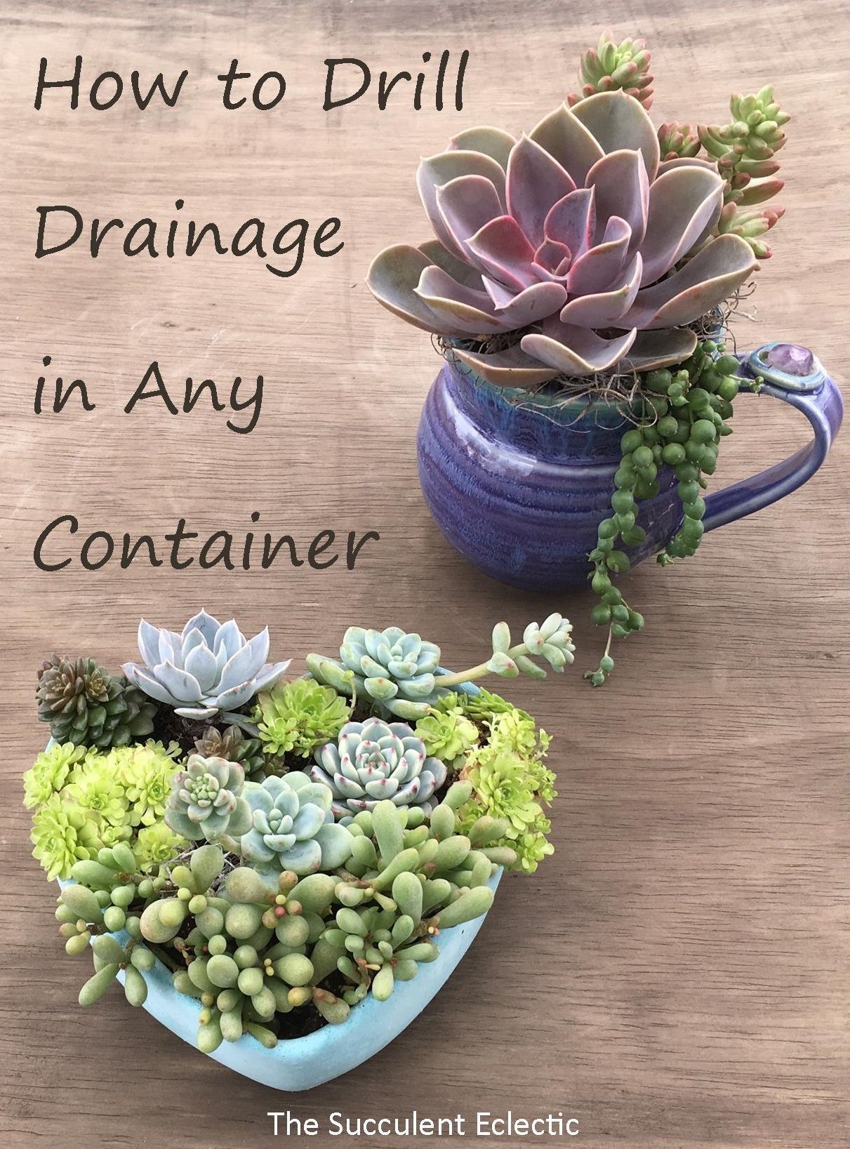 Planting Succulents in Containers Without Drainage? Drill Your Own -   13 planting Decor succulents ideas