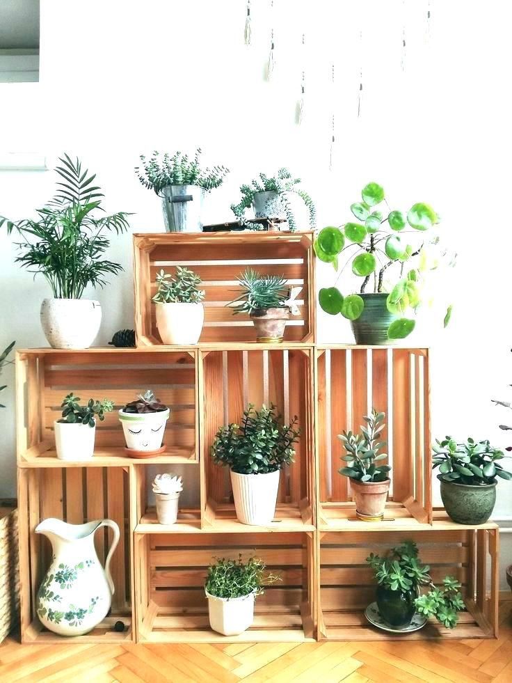 34 Plant Stand Design For Indoor Houseplant -   14 planting Stand houseplant ideas