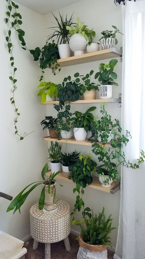 60+ Plant Stand Design Ideas for Indoor Houseplants -   14 planting Stand houseplant ideas