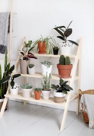 Cool Plant Stand Design Ideas for Indoor Houseplant 11 -   14 planting Stand houseplant ideas