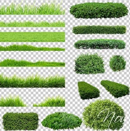 14 plants Texture design ideas