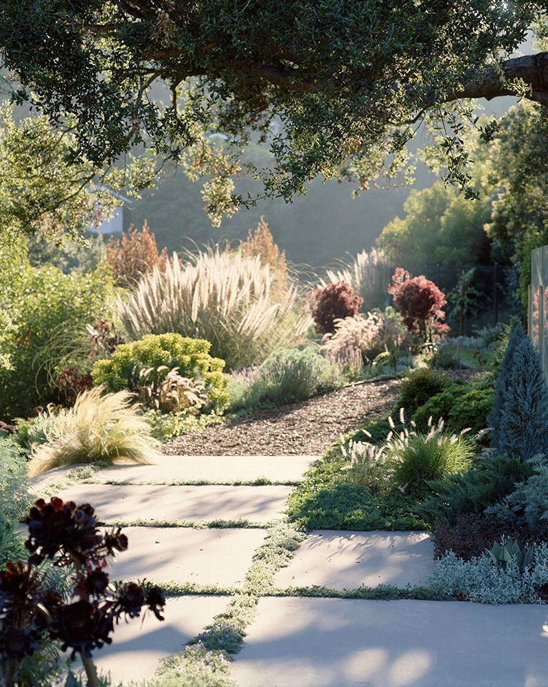 Our Home: Front Yard Redesign -   14 plants Texture design ideas
