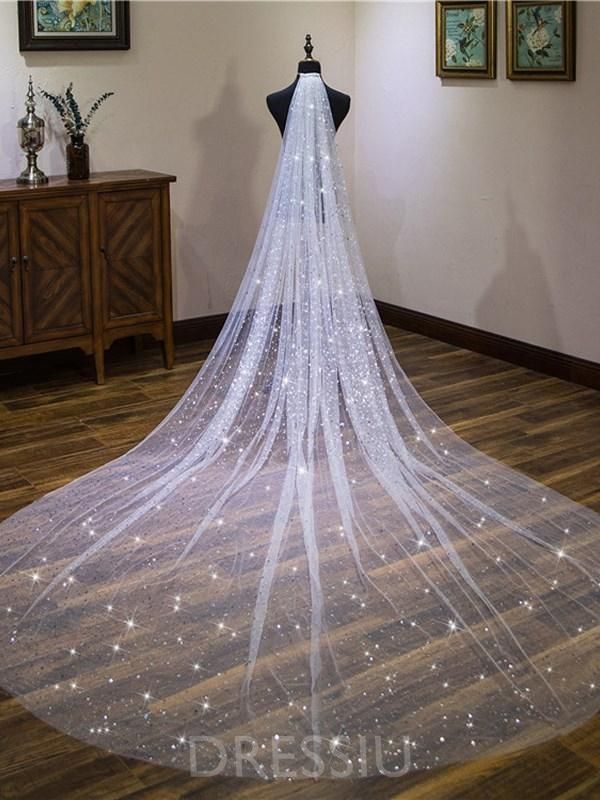 Sparkly Ivory Glitter Wedding Veils 2019 – dressiu -   14 wedding Veils glitter ideas