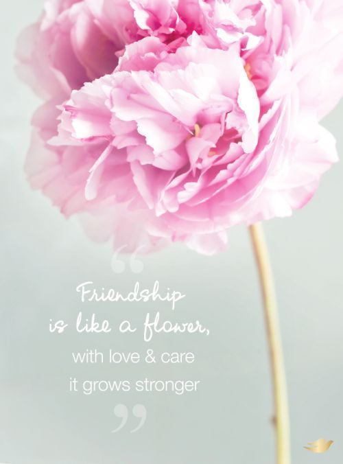 20 Beautiful Flower Quotes -   15 friendship plants Quotes ideas