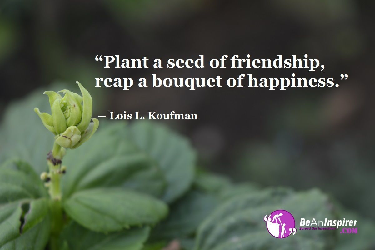 Top 100 Friendship Quotes and Sayings (with Nature Photographs) -   15 friendship plants Quotes ideas