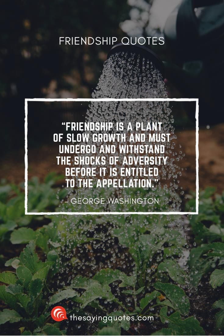 150+ Best Friendship Quotes With Beautiful Images -   15 friendship plants Quotes ideas