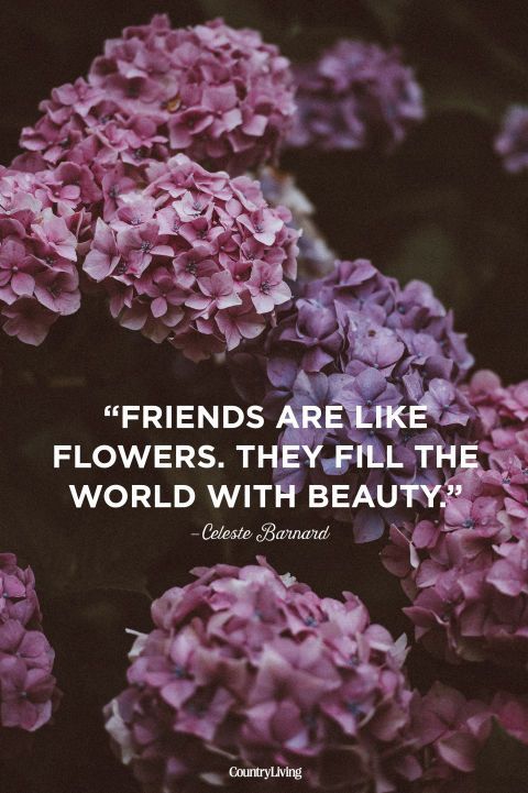 10 Inspiring Quotes to Share With Your Best Friends -   15 friendship plants Quotes ideas