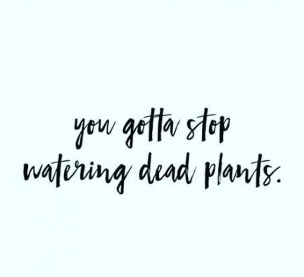 23+ Super Ideas For Plants Quotes Funny Truths -   15 friendship plants Quotes ideas
