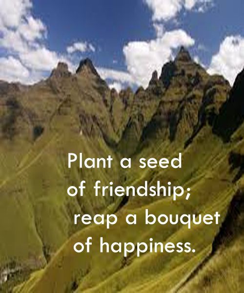 Plant a seed of friendship -   15 friendship plants Quotes ideas