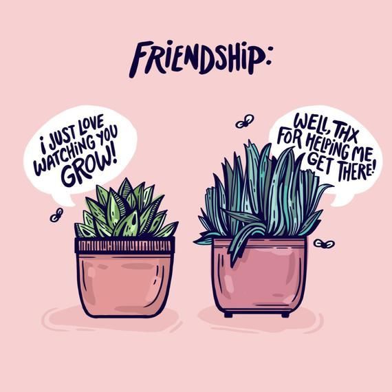 Friendship Greeting Card - Plant Pals - Birthday Card - Best Friends - Succulents -   15 friendship plants Quotes ideas