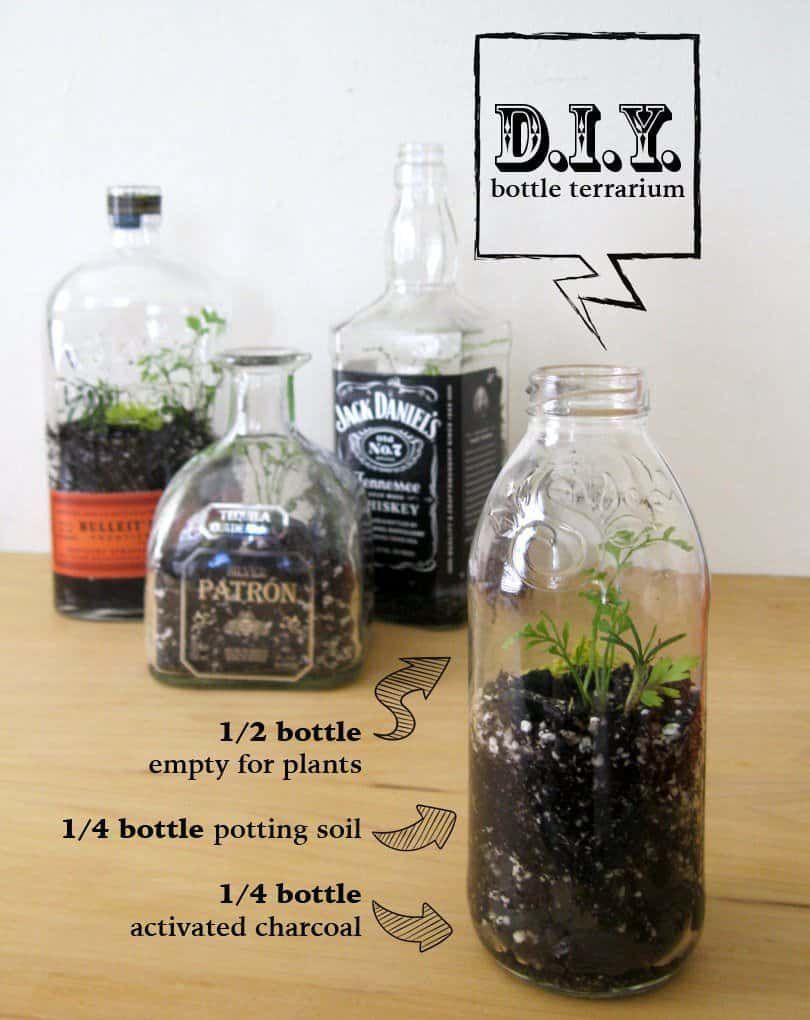 Diy: Bottle Terrarium -   15 planting DIY bottle ideas
