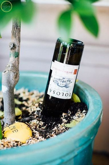 DIY Wine Bottle Waterer for Potted Plants -   15 planting DIY bottle ideas
