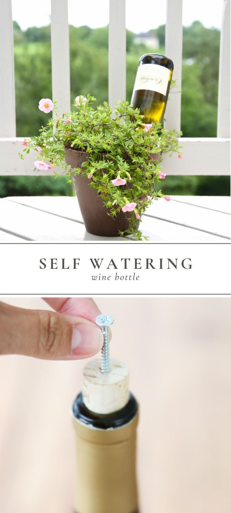 Learn the simplest trick for watering your plants while you're away. This five -   15 planting DIY bottle ideas