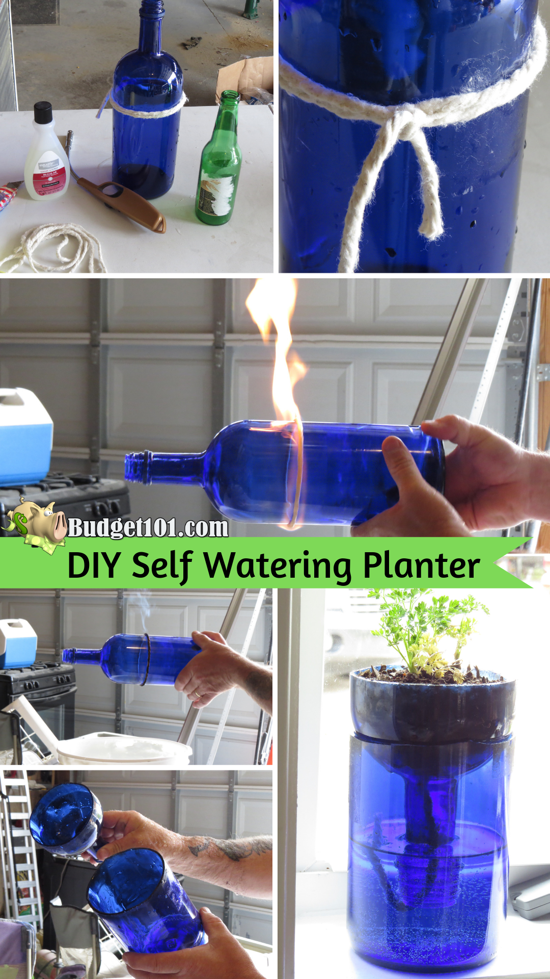 MYO Glass Self Watering Planter -   15 planting DIY bottle ideas