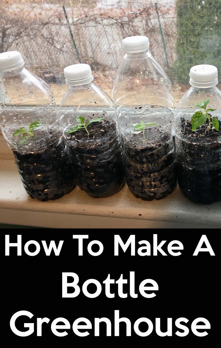 Start your seeds with this awesome plastic bottle greenhouse -   15 planting DIY bottle ideas