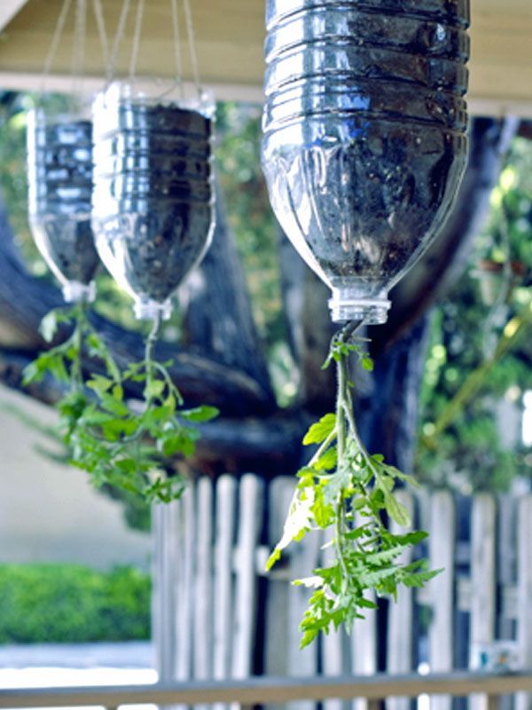 15 planting DIY bottle ideas