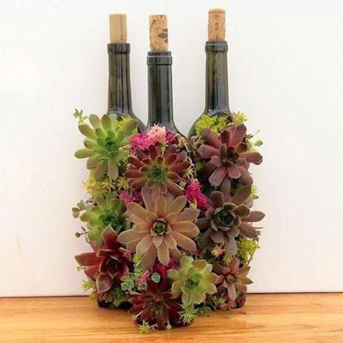 DIY Wine Bottle Succulent Planter Tutorial - Life Chilli -   15 planting DIY bottle ideas