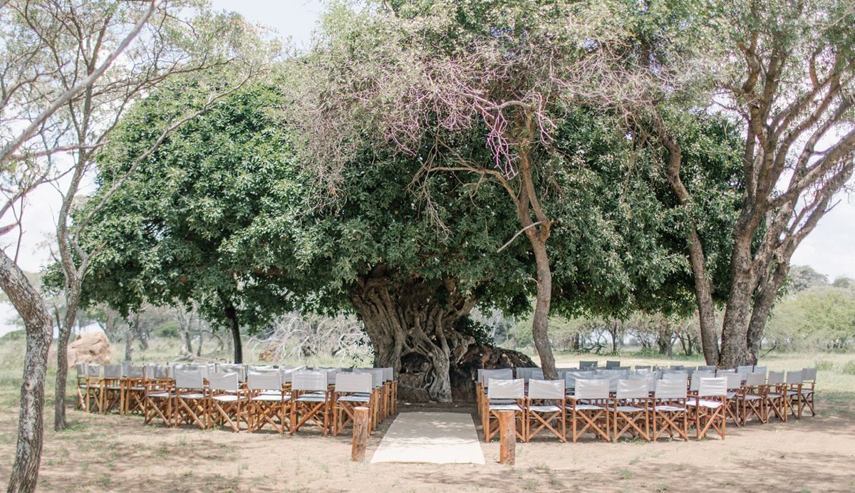 The Best Bushveld Wedding Venues in South Africa -   15 wedding Venues south africa ideas