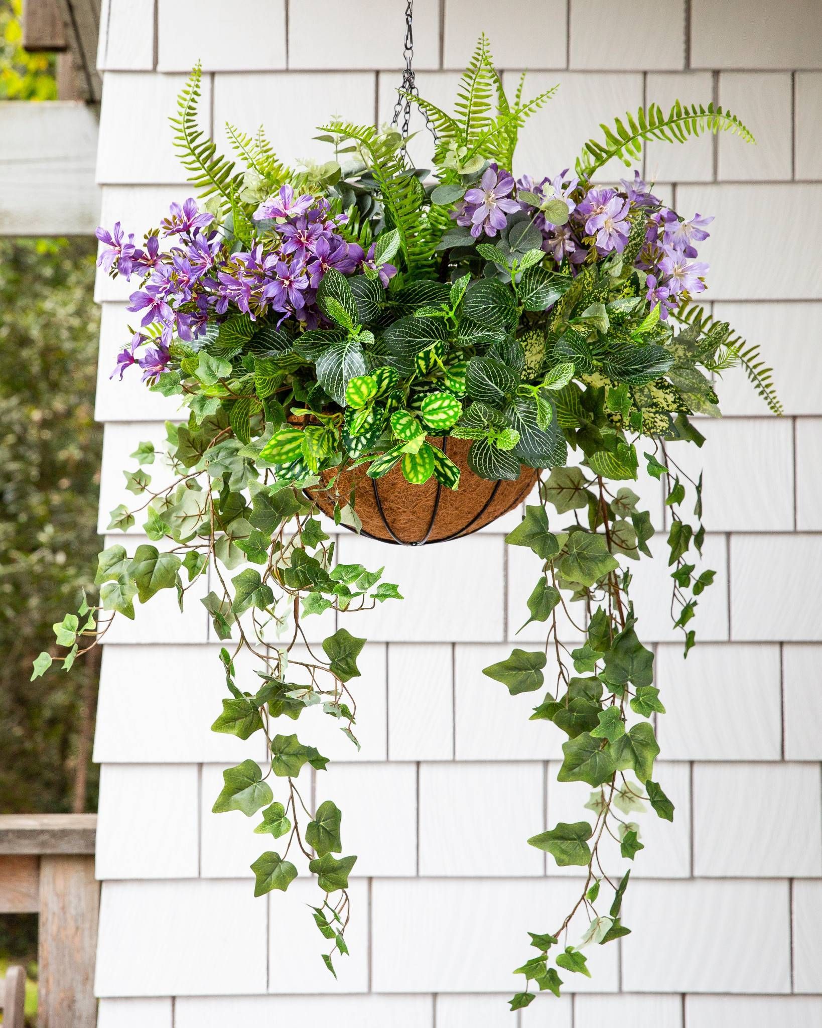 Floral Fern Hanging Basket -   18 plants Flowers in hanging baskets ideas