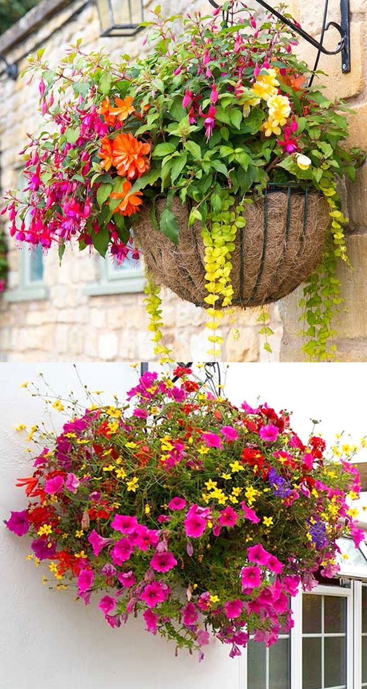 How to Plant Beautiful Flower Hanging Baskets ( & 20+ Best Hanging basket plants ) -   18 plants Flowers in hanging baskets ideas