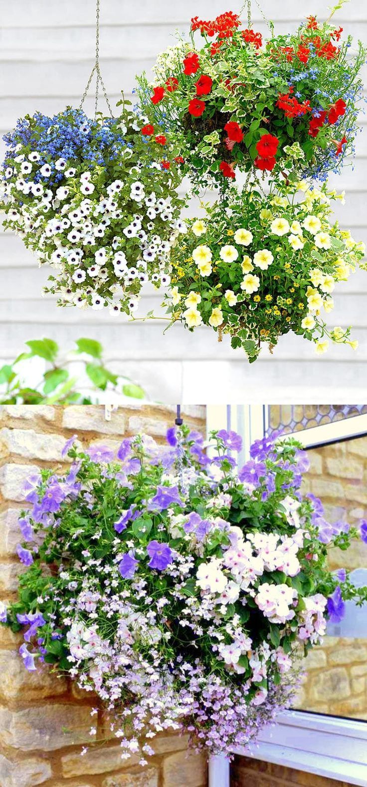 How to Plant Beautiful Flower Hanging Baskets ( & 20+ Best Hanging basket plants ) -   18 plants Flowers in hanging baskets ideas